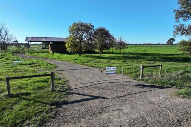 Other (Rural) For Sale - VIC - Merrigum - 3618 - BEEF GRAZING OPPORTUNITY  (Image 2)
