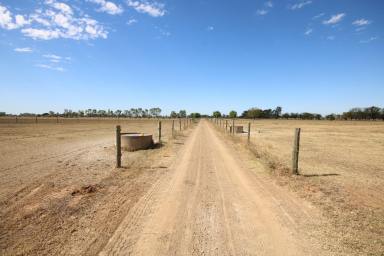 Other (Rural) For Sale - VIC - Merrigum - 3618 - BEEF GRAZING OPPORTUNITY  (Image 2)