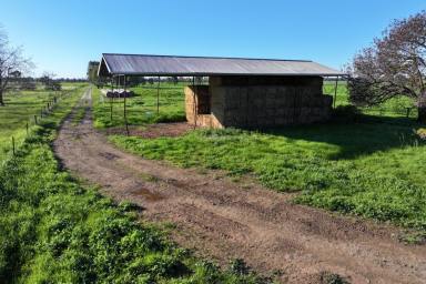 Other (Rural) For Sale - VIC - Merrigum - 3618 - BEEF GRAZING OPPORTUNITY  (Image 2)