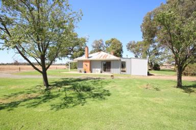 Cropping For Sale - VIC - Girgarre - 3624 - LIFESTYLE, PRODUCTIVITY & WATER  ON 136 ACRES  (Image 2)