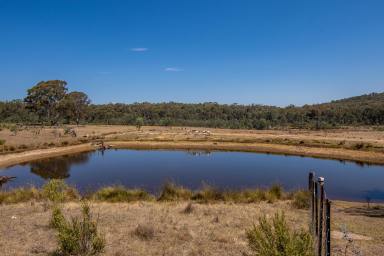 Acreage/Semi-rural For Sale - NSW - Mudgee - 2850 - COUNTRY LIVING DONE RIGHT.  (Image 2)