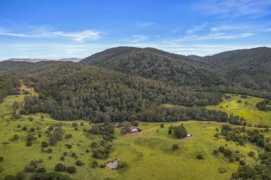 Lifestyle Auction - NSW - Craven Plateau - 2422 - 700 Acres on the Craven Plateau with Dual Creek Frontage  (Image 2)