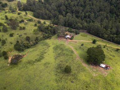 Lifestyle Auction - NSW - Craven Plateau - 2422 - 700 Acres on the Craven Plateau with Dual Creek Frontage  (Image 2)