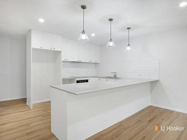 House For Lease - TAS - Devonport - 7310 - Modern, Low Maintenance Living Close to Schools  (Image 2)