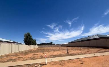 Residential Block For Sale - VIC - Irymple - 3498 - Rare New Home Site in One of Irymple's Most Sought After Subdivisions  (Image 2)