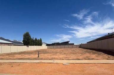 Residential Block For Sale - VIC - Irymple - 3498 - Rare New Home Site in One of Irymple's Most Sought After Subdivisions  (Image 2)