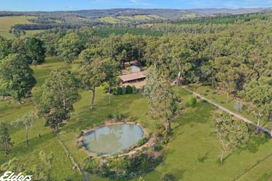 Farmlet For Sale - VIC - Carrajung Lower - 3844 - "BARKER PARK" - A GREAT LOCATION  (Image 2)