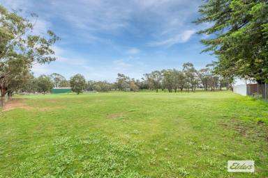 Residential Block For Sale - VIC - Toolleen - 3551 - Your New Home or Weekender Awaits in Toolleen  (Image 2)
