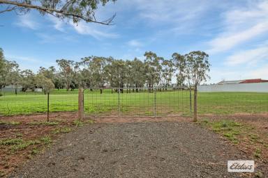Residential Block For Sale - VIC - Toolleen - 3551 - Your New Home or Weekender Awaits in Toolleen  (Image 2)