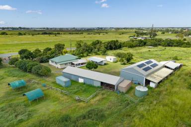 Cropping For Sale - QLD - Kalkie - 4670 - Acreage Without Compromise - Lifestyle, Scale & Serious infrastructure on 3.46ha  (Image 2)