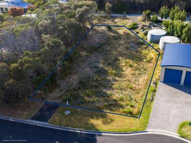 Residential Block For Sale - TAS - Coles Bay - 7215 - Exceptional Lifestyle Appeal  (Image 2)