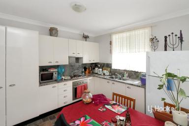 House For Lease - NSW - Inverell - 2360 - Tidy 2 Bedroom Cottage  (Image 2)