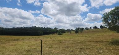 Residential Block For Sale - QLD - Wallaville - 4671 - 15.95Ha block on sealed roads  (Image 2)