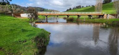 Livestock For Sale - WA - Balingup - 6253 - 45 Acre Farm / Residence  (Image 2)