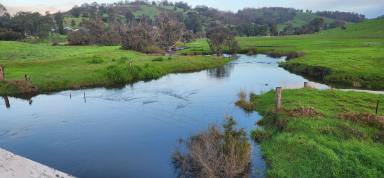 Livestock For Sale - WA - Balingup - 6253 - 45 Acre Farm / Residence  (Image 2)