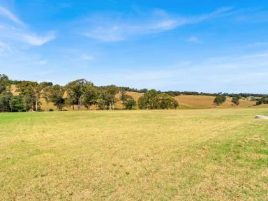 Residential Block For Sale - VIC - Wy Yung - 3875 - 5 ACRES IN PEACEFUL SETTING  (Image 2)