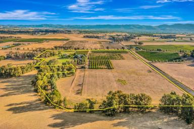 Mixed Farming For Sale - NSW - Mudgee - 2850 - "CARRAMAR" - ENDLESS AVENUES FOR SUCCESS  (Image 2)