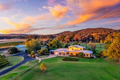 Mixed Farming For Sale - NSW - Mudgee - 2850 - "CARRAMAR" - ENDLESS AVENUES FOR SUCCESS  (Image 2)