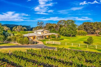 Mixed Farming For Sale - NSW - Mudgee - 2850 - "CARRAMAR" - ENDLESS AVENUES FOR SUCCESS  (Image 2)