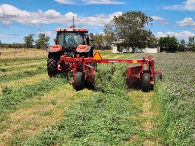 Cropping For Sale - NSW - Tamworth - 2340 - Ballymore  (Image 2)