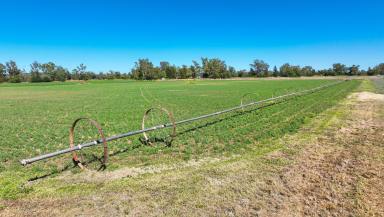 Cropping For Sale - NSW - Tamworth - 2340 - Ballymore  (Image 2)
