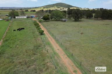 Acreage/Semi-rural For Sale - QLD - Coolana - 4311 - A Rare 10-Acre Gem  (Image 2)