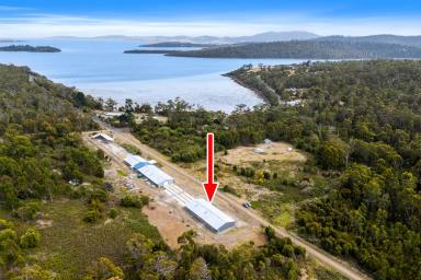 Residential Block For Sale - TAS - Murdunna - 7178 - Secluded Coastal Opportunity with Expansive Existing Shed – An Easy Stroll to the Beach.  (Image 2)