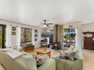 House For Sale - NSW - Bemboka - 2550 - BIG BLOCK, COUNTRY LIVING  (Image 2)