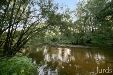 Lifestyle For Sale - NSW - Broke - 2330 - An environmentally sustainable sanctuary in the heart of wine country (Image 2)