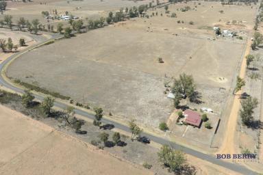 House For Sale - NSW - Eumungerie - 2822 - Affordable Small Farm in Village of Eumungerie  (Image 2)