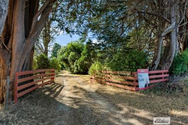 House For Sale - TAS - Lapoinya - 7325 - The Country Lifestyle So Many Are Searching For…  (Image 2)