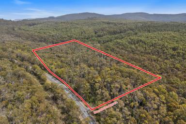 Residential Block For Sale - TAS - Taranna - 7180 - A True Tree Change with a Touch of Sea Air. Approx. 25 Acres of Natural Bushland  (Image 2)
