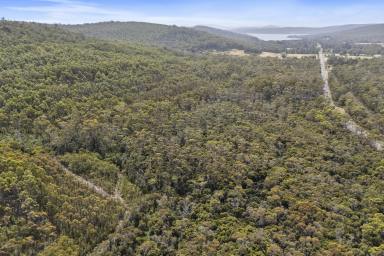 Residential Block For Sale - TAS - Taranna - 7180 - A True Tree Change with a Touch of Sea Air. Approx. 25 Acres of Natural Bushland  (Image 2)