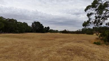 Lifestyle For Sale - VIC - Newtown - 3351 - A BLANK CANVAS  (Image 2)