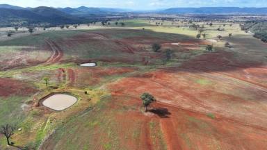 Other (Rural) For Sale - NSW - Bingara - 2404 - Karamah, Bingara  (Image 2)
