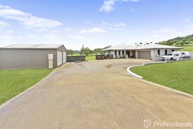 Acreage/Semi-rural Auction - QLD - Habana - 4740 - Stylish Country Living in Sought-After Habana!  (Image 2)