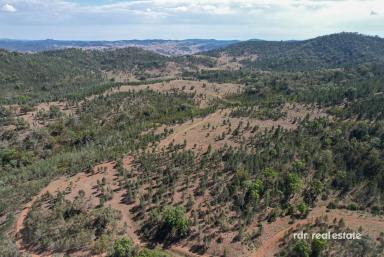 Lifestyle For Sale - NSW - Bingara - 2404 - ESCAPE, EXPLORE, ENJOY ON 886 ACRES  (Image 2)