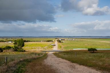 Mixed Farming For Sale - SA - Tantanoola - 5280 - CANUNDA PARK  (Image 2)