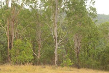 Lifestyle For Sale - NSW - Ewingar - 2469 - STRIKE WHILE THE IRON IS HOT !  (Image 2)