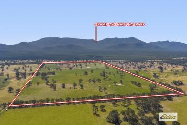 Other (Rural) For Sale - VIC - Willaura North - 3379 - Prime Rural Holding – 310 Acres with Grampians Backdrop  (Image 2)