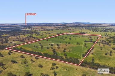 Other (Rural) For Sale - VIC - Willaura North - 3379 - Prime Rural Holding – 310 Acres with Grampians Backdrop  (Image 2)