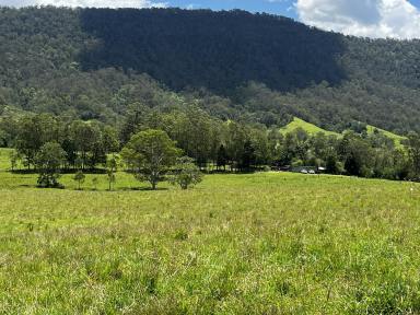 Residential Block For Sale - NSW - Kyogle - 2474 - VACANT LAND WITH RURAL VIEWS  (Image 2)