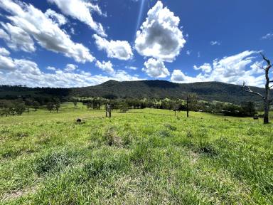 Residential Block For Sale - NSW - Kyogle - 2474 - VACANT LAND WITH RURAL VIEWS  (Image 2)