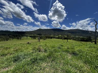Residential Block For Sale - NSW - Kyogle - 2474 - VACANT LAND WITH RURAL VIEWS  (Image 2)