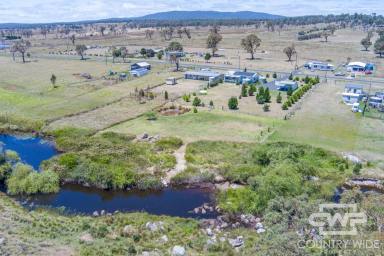 House For Sale - NSW - Dundee - 2370 - “Neat as a pin” could have been written for this home. (Image 2)