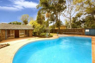 House For Lease - NSW - Normanhurst - 2076 - Whisper quiet 3-bed family home with cabana (granny flat)  (Image 2)