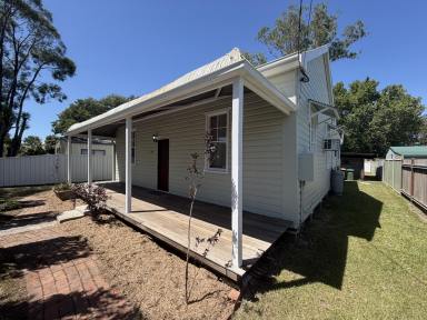 House For Lease - NSW - South Grafton - 2460 - Spacious Home Freshly Renovated  (Image 2)