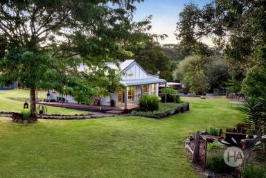 Acreage/Semi-rural For Sale - VIC - Buxton - 3711 - Classic charm with Cathedral backdrop on 1.8 Acres  (Image 2)