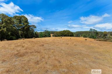 Other (Rural) For Sale - TAS - Upper Natone - 7321 - Rural Escape with Room to Roam  (Image 2)
