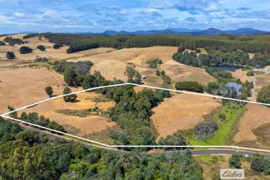 Other (Rural) For Sale - TAS - Upper Natone - 7321 - Rural Escape with Room to Roam  (Image 2)